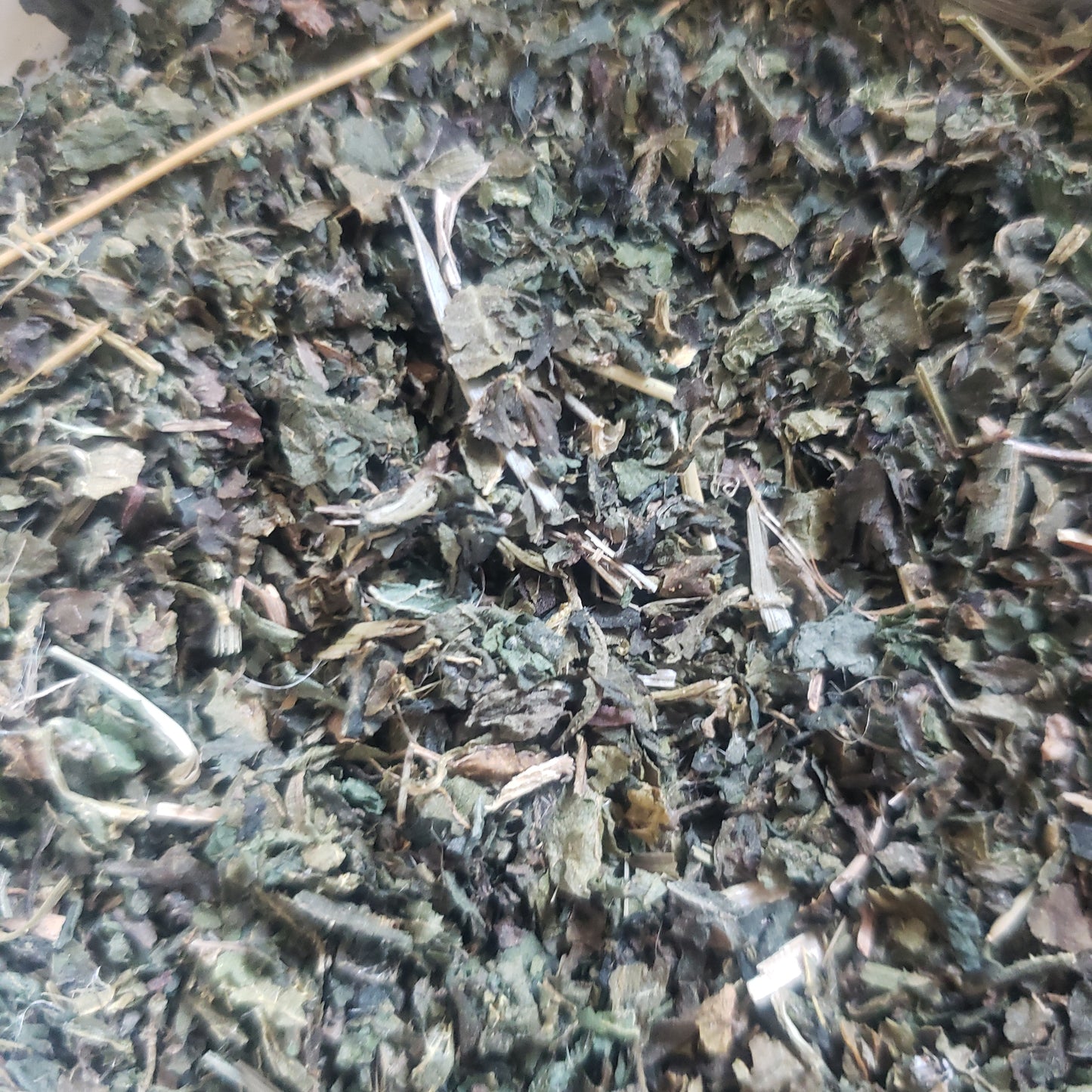 Nettle Leaf