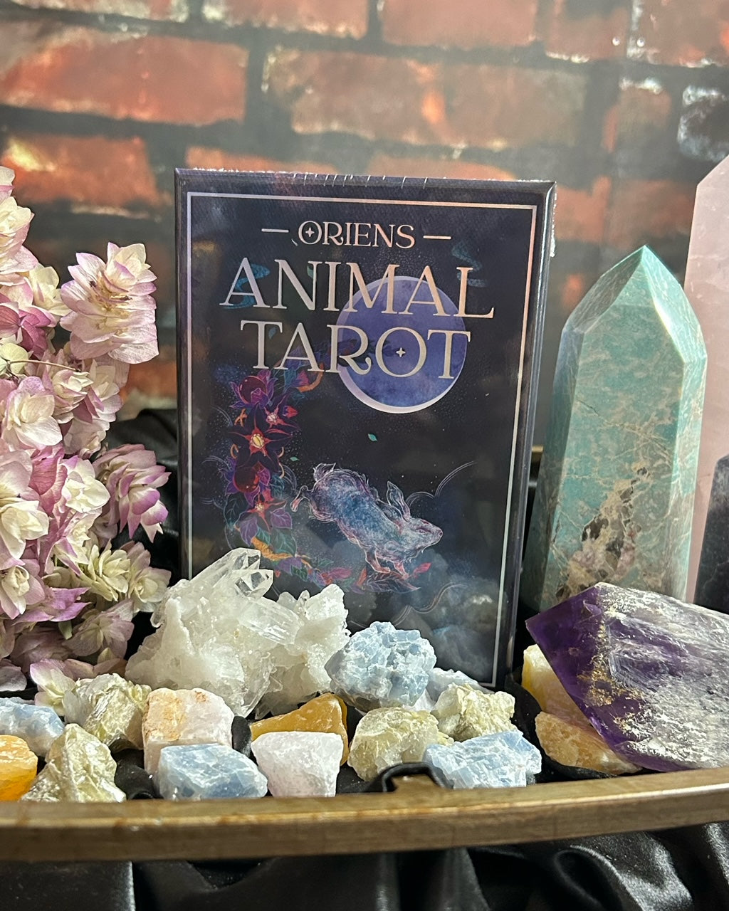 Animal Tarot