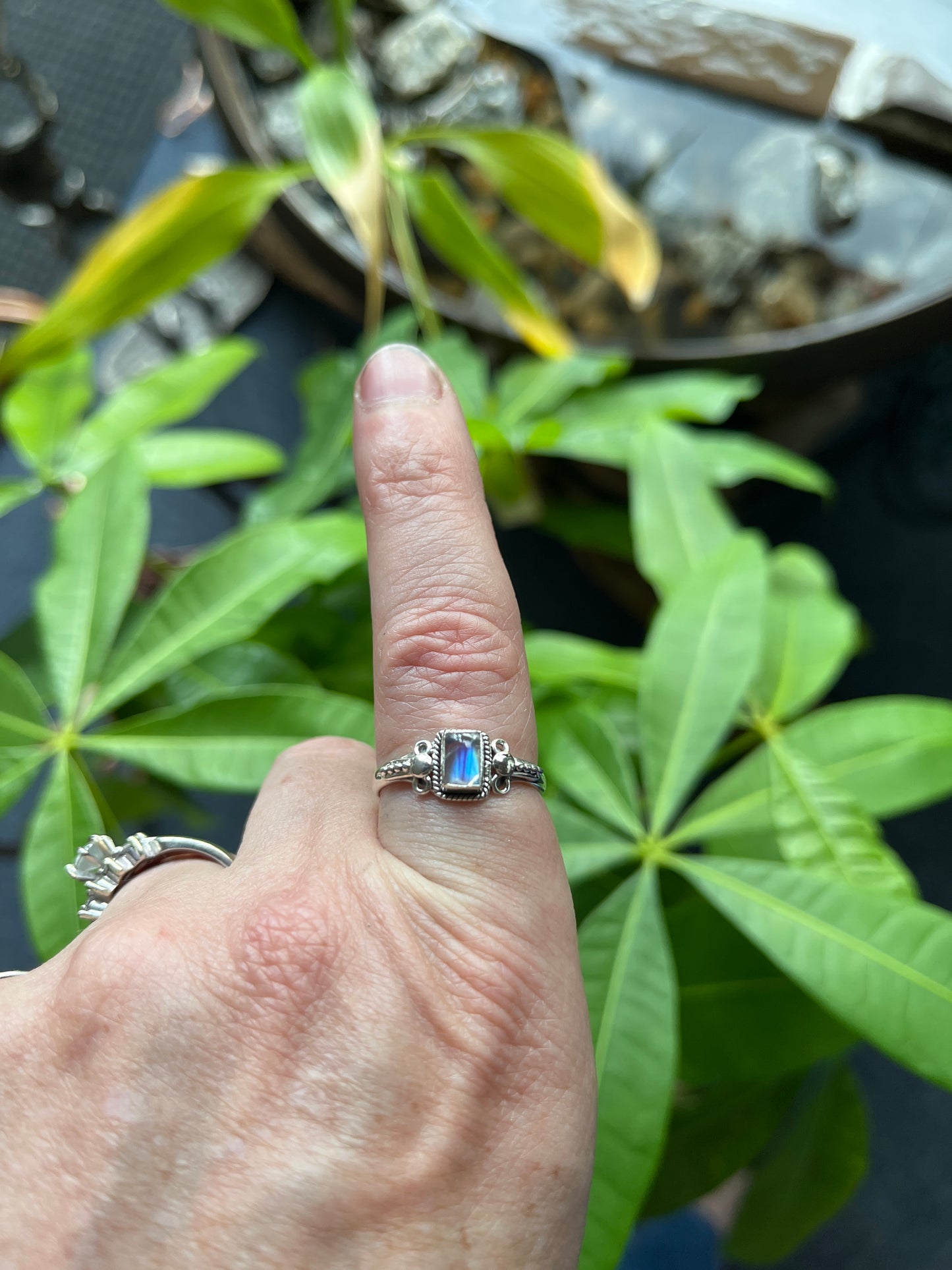 Small Decorative Rings