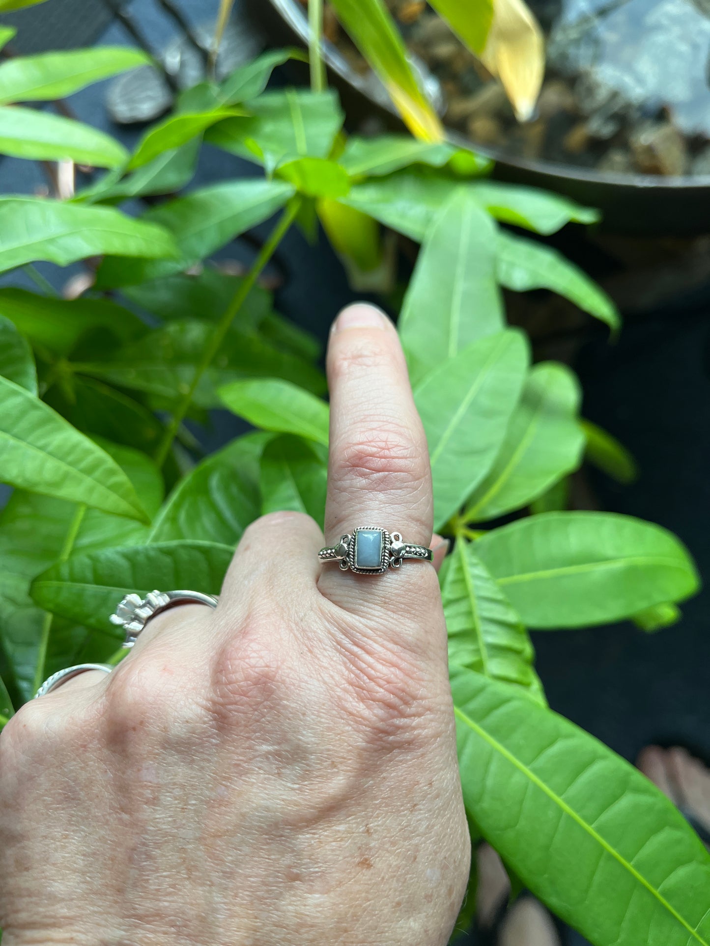 Small Decorative Rings