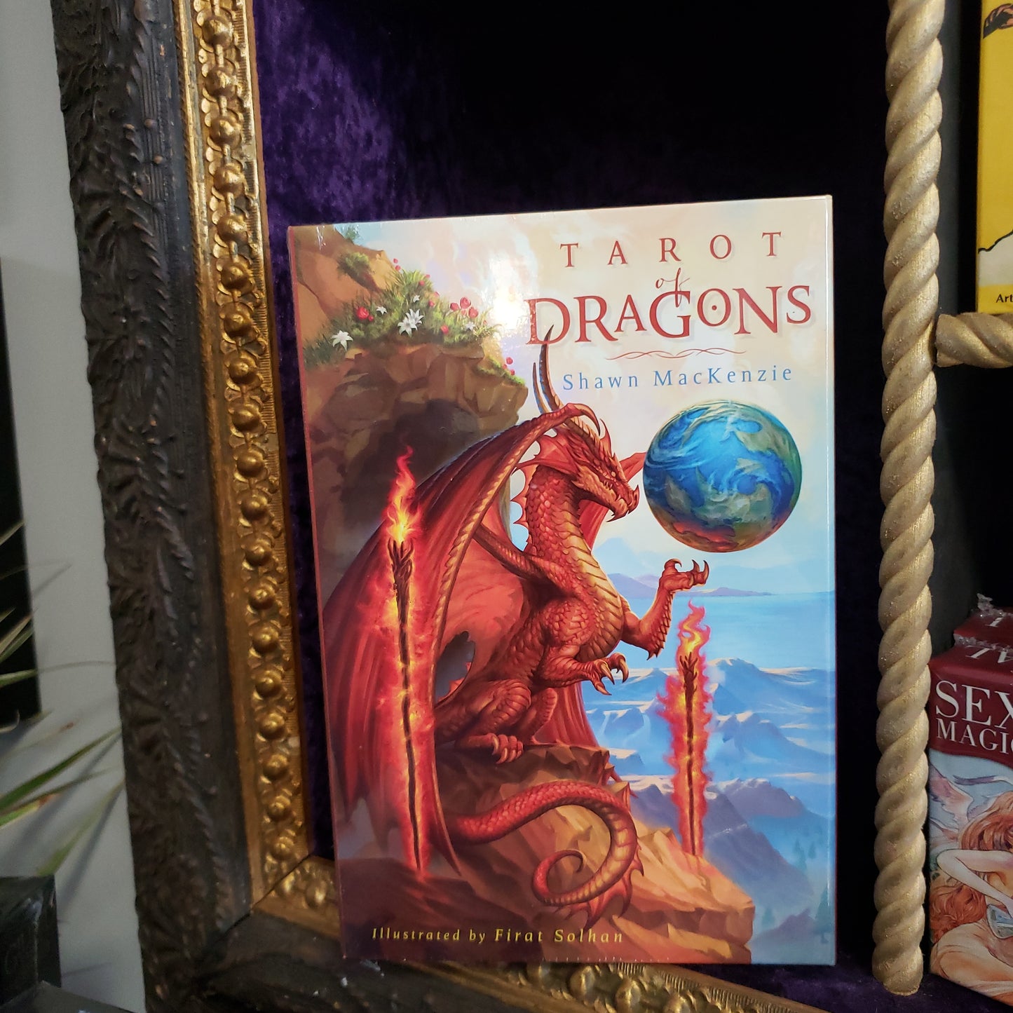 Tarot of Dragons