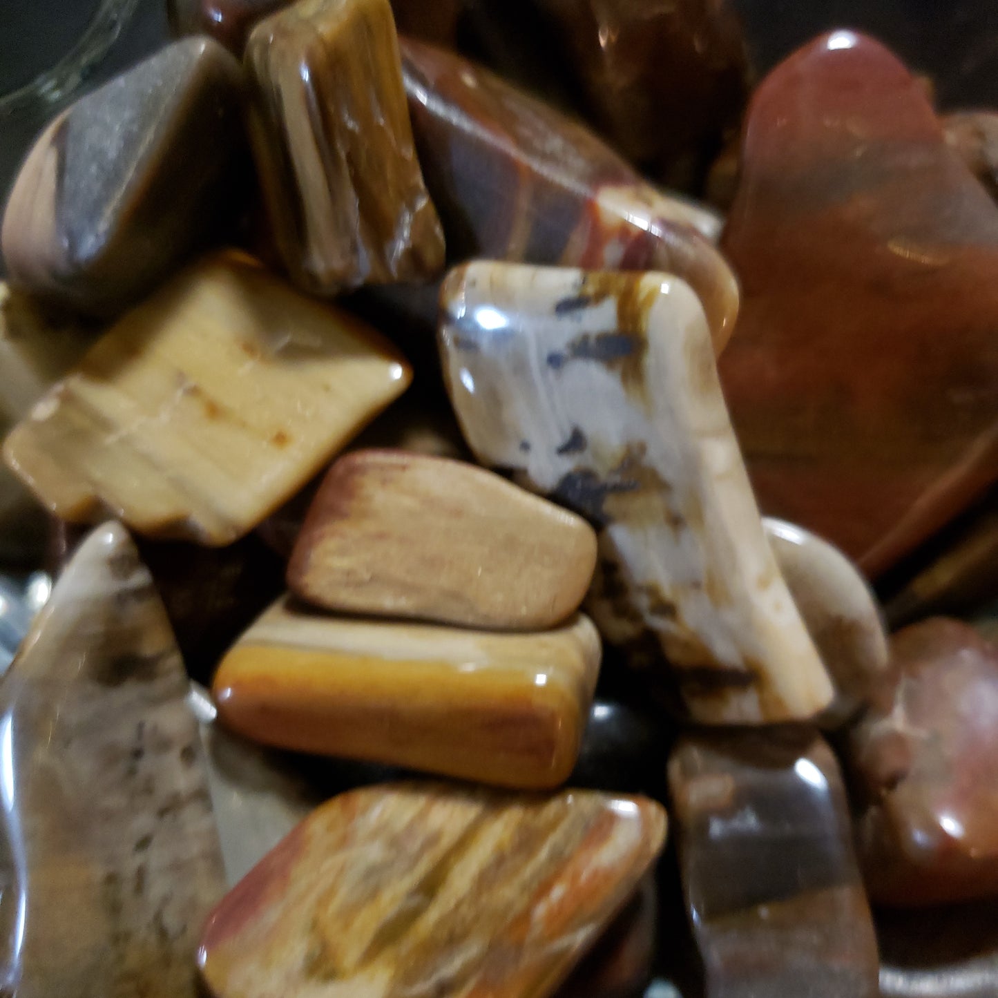 Petrified Wood Tumbled