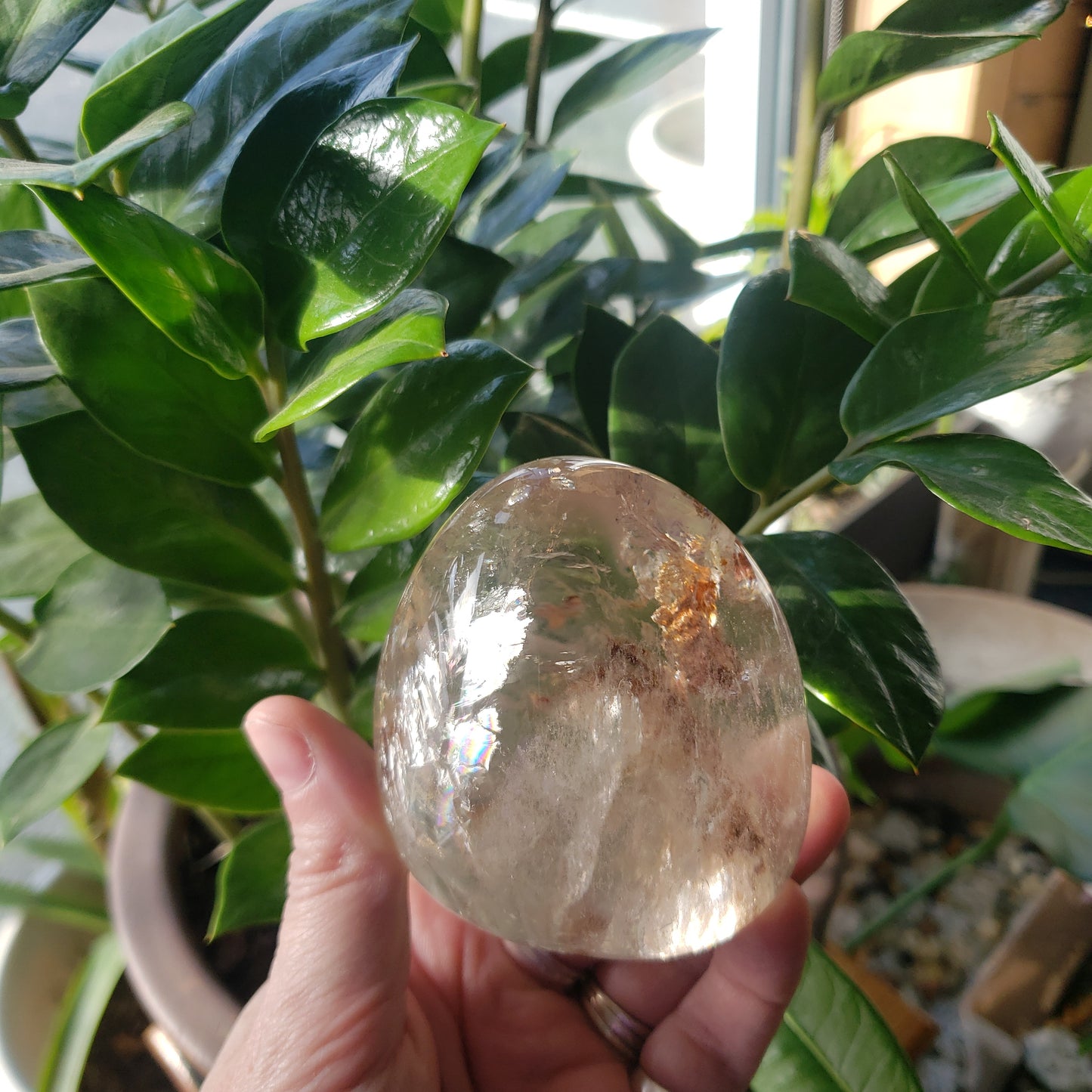 Half Round Garden Quartz (Lodolite)