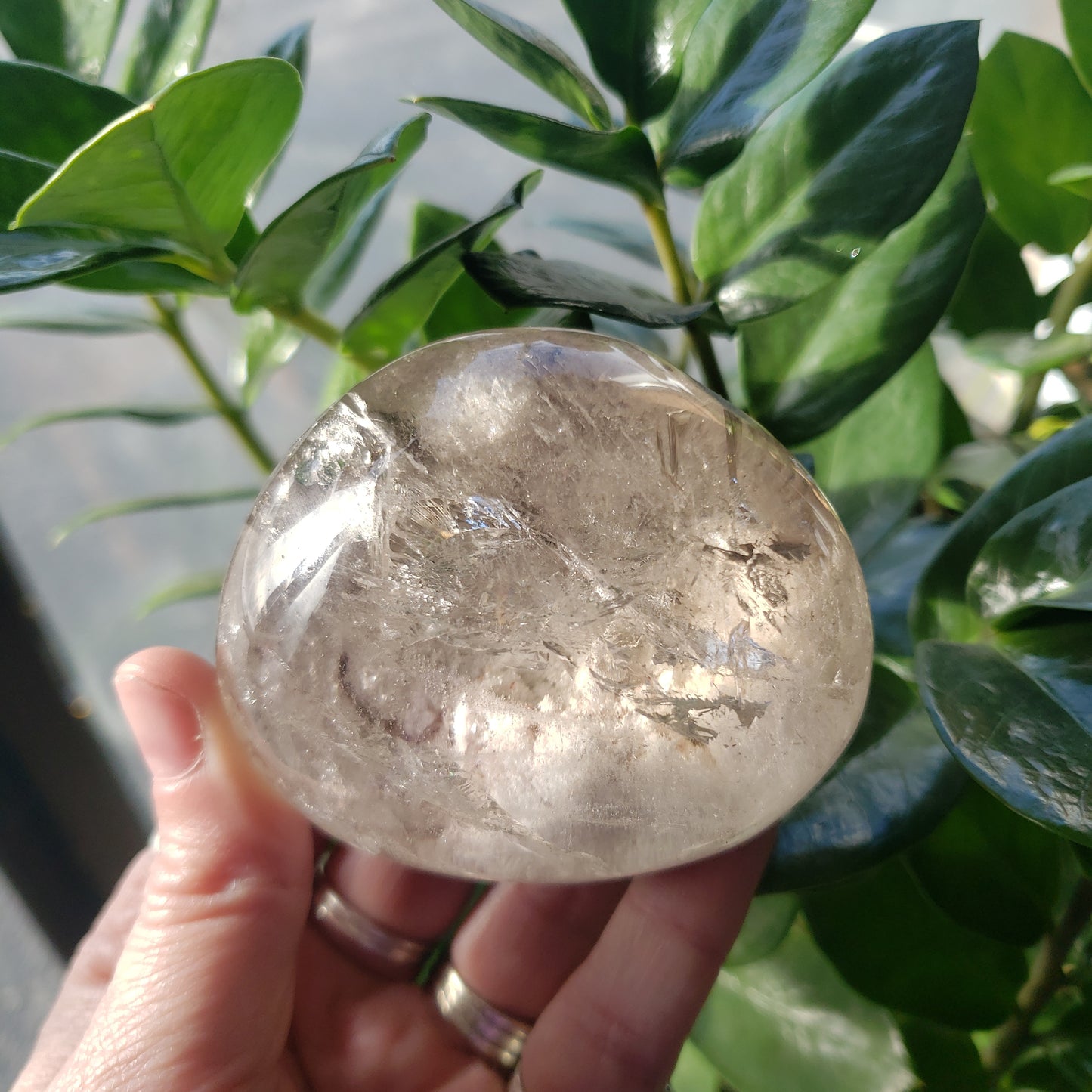 Half Round Garden Quartz (Lodolite)