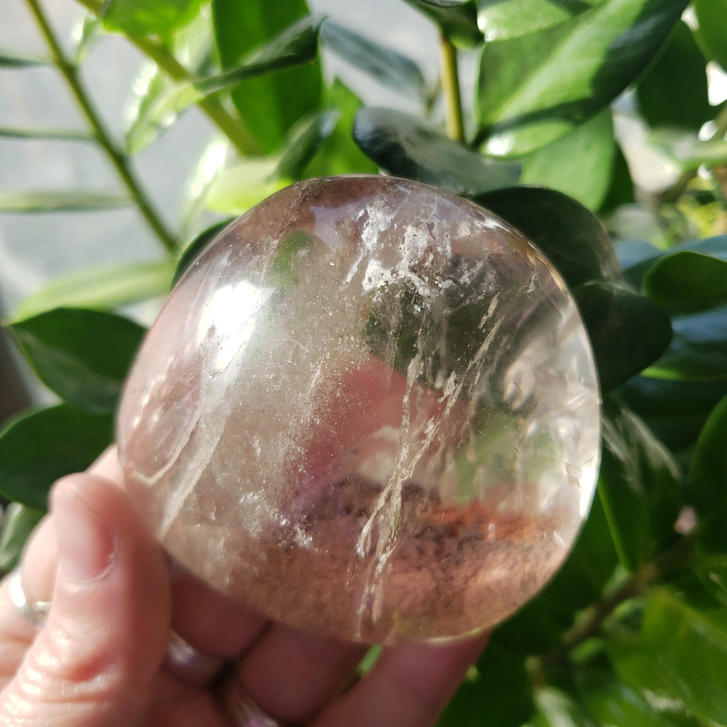 Half Round Garden Quartz (Lodolite)