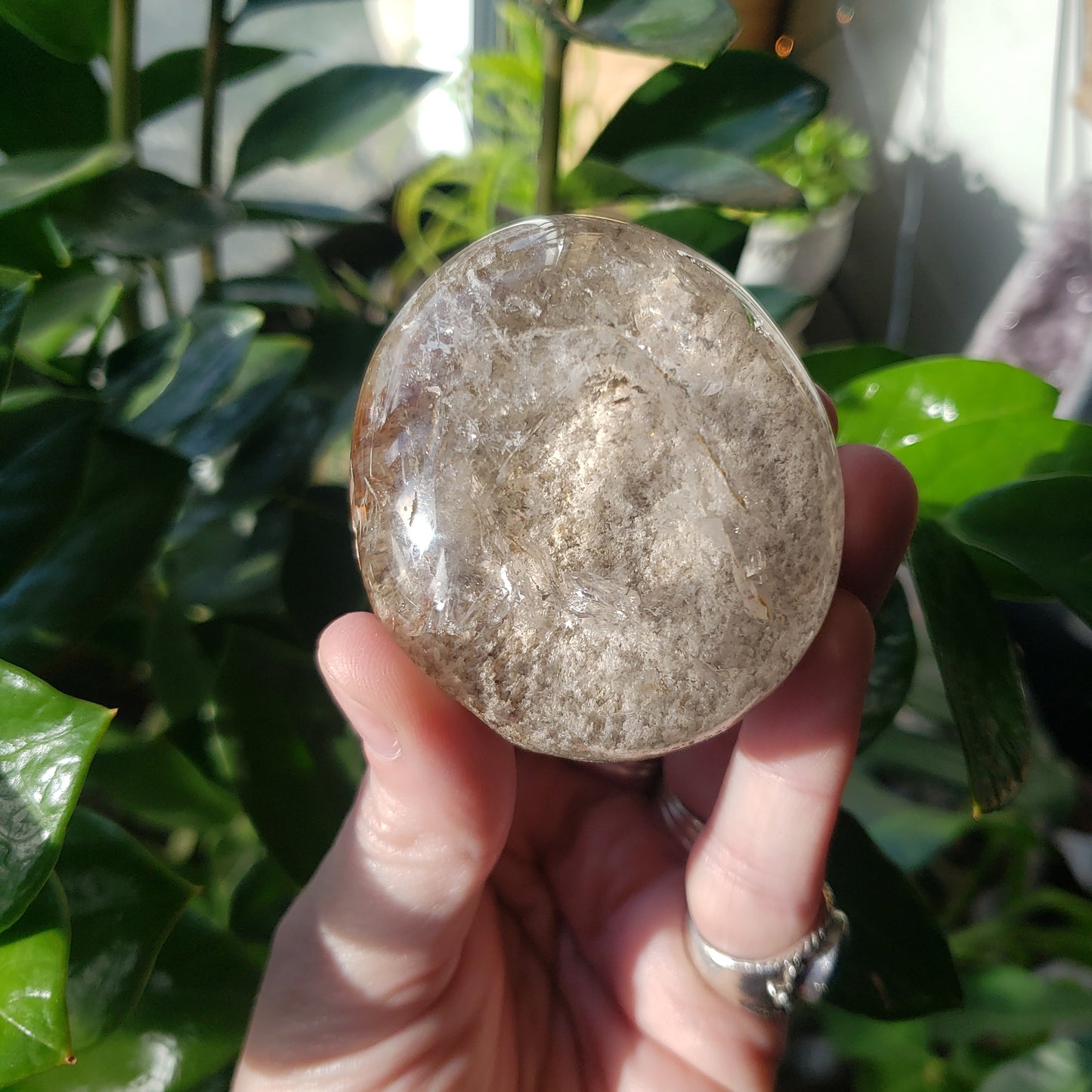 Half Round Garden Quartz (Lodolite)