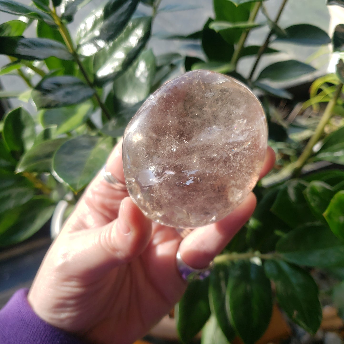 Half Round Garden Quartz (Lodolite)