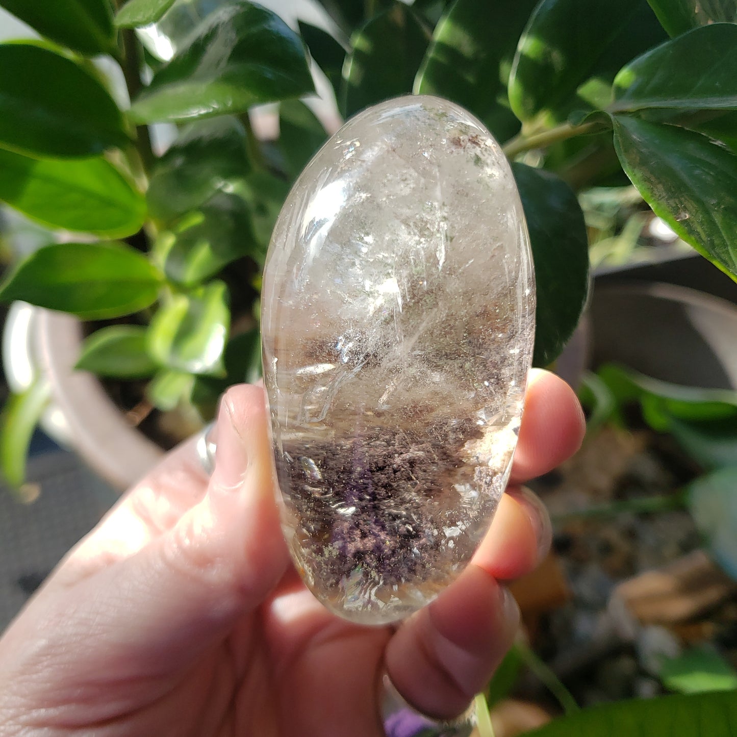 Half Round Garden Quartz (Lodolite)