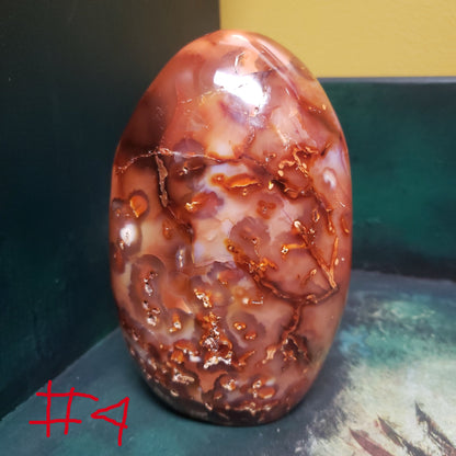 Carnelian Free Forms