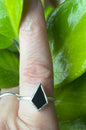 Crystal Shield Rings