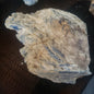 Raw Blue Kyanite