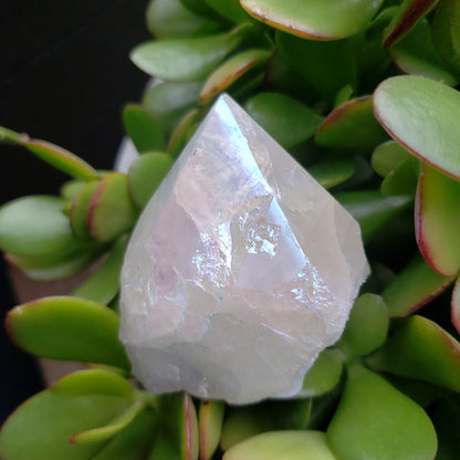 Angel Aura Quartz Points