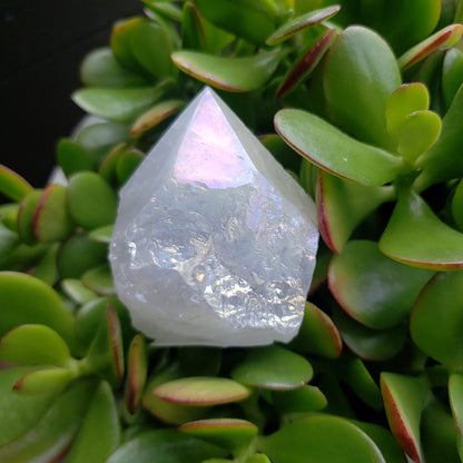 Angel Aura Quartz Points