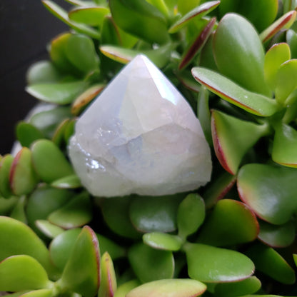 Angel Aura Quartz Points