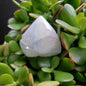 Angel Aura Quartz Points