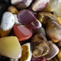 Poly Chrome Jasper Tumbled