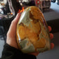 Poly Chrome Jasper Free Forms