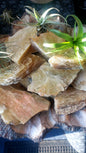 Raw Golden Lepidolite pieces
