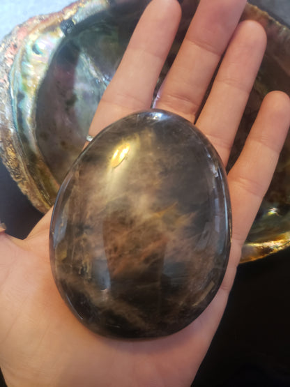 Black Moonstone Palm