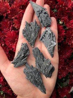 Black Kyanite (Witches Brooms)