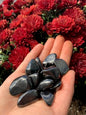 Shungite tumbled