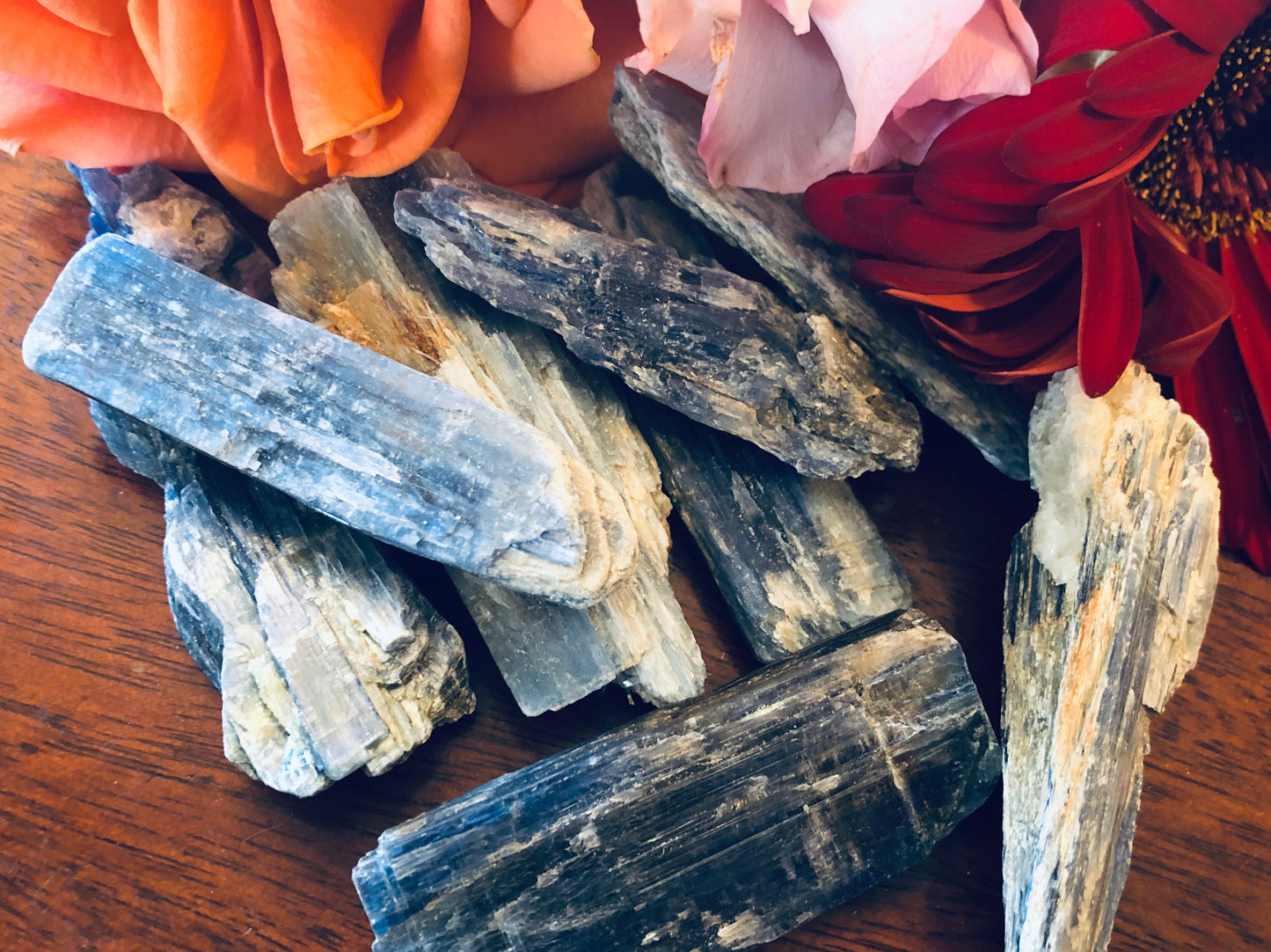 Small and Large Pieces of Blue Kyanite Pieces