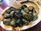 Asterite Serpentine