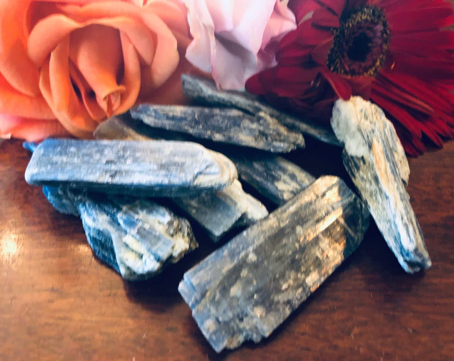 Small and Large Pieces of Blue Kyanite Pieces